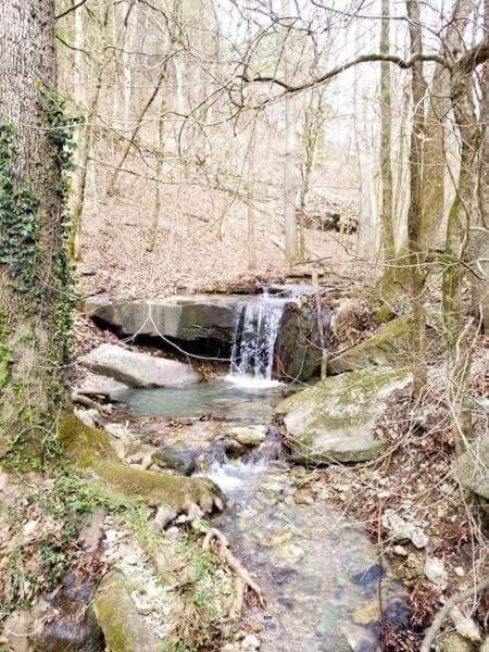 Loblolly Pines Adventure Cabin 4 King Eureka Springs Εξωτερικό φωτογραφία